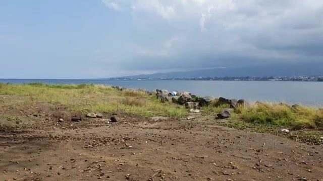Береговая рыбалка в Экваториальной Гвинее: поиск стаи у пирса и четыре рыбы за вечер