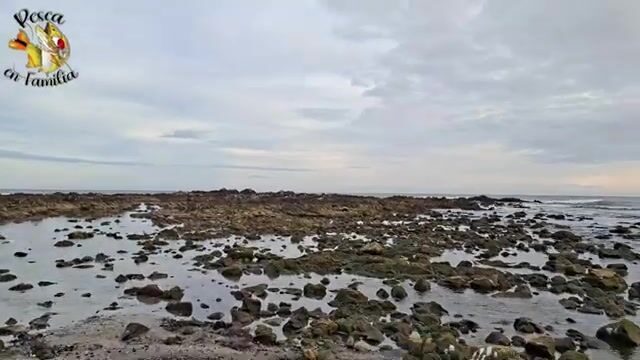 Рыбалка на пехеррея с пляжа Санта-Лусия-дель-Эсте в Уругвае: друзья, снасти и обед у воды