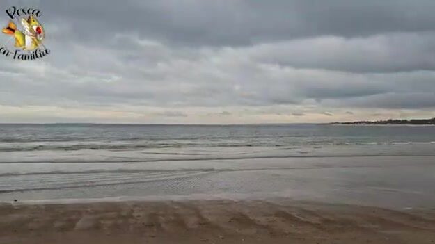 Рыбалка на пехеррея с пляжа Санта-Лусия-дель-Эсте в Уругвае: друзья, снасти и обед у воды