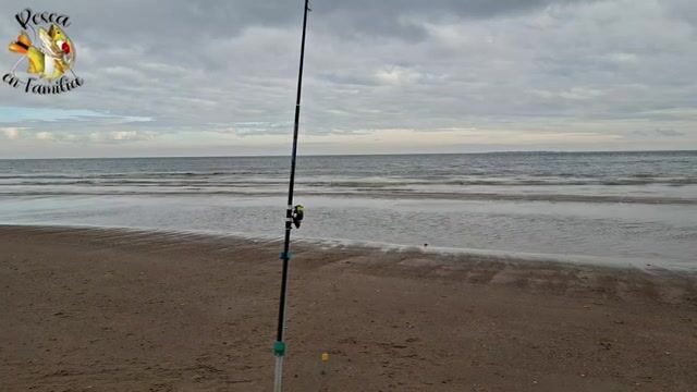 Рыбалка на пехеррея с пляжа Санта-Лусия-дель-Эсте в Уругвае: друзья, снасти и обед у воды