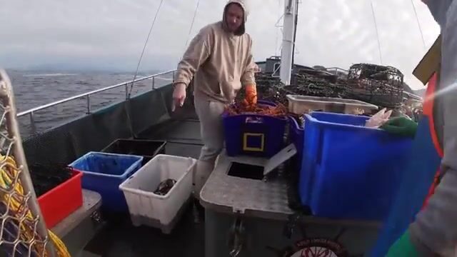 Ловля лангустов у Тасмании: ночевка на судне, подъем ловушек и работа экипажа
