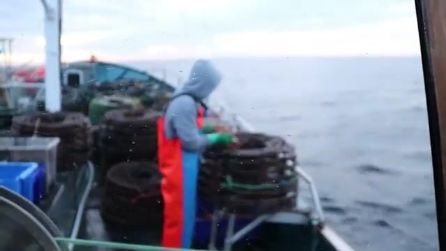 Ловля лангустов у Тасмании: ночевка на судне, подъем ловушек и работа экипажа