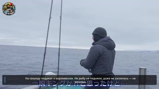 Зимний джиггинг у Раусу на Хоккайдо: поиск королевского лосося и поклевки симы