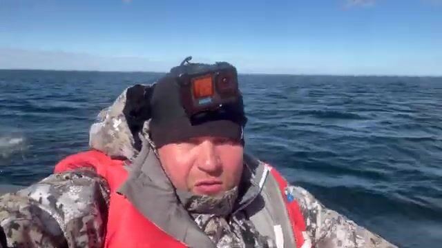 Териберка и Баренцево море: попытка выйти на треску, туман и ожидание хорошей погоды