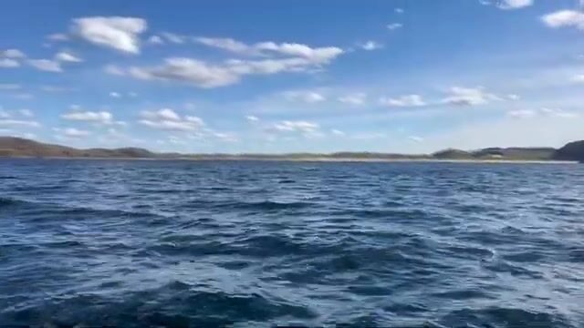 Териберка и Баренцево море: попытка выйти на треску, туман и ожидание хорошей погоды