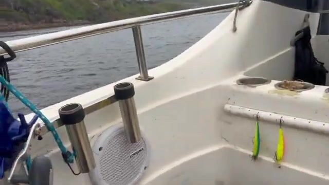 Териберка и Баренцево море: попытка выйти на треску, туман и ожидание хорошей погоды
