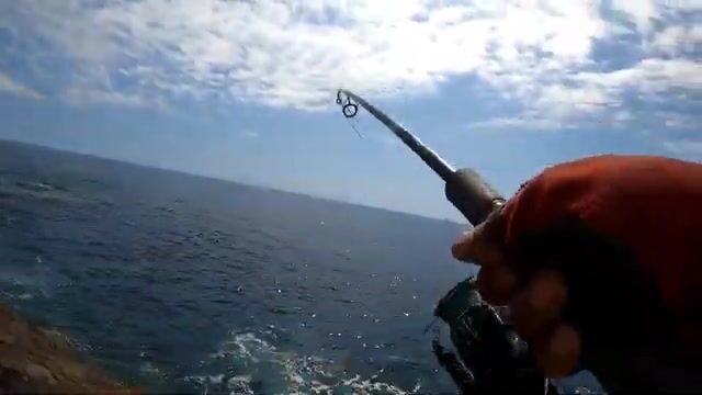 Летняя рыбалка на спиннинг у острова Ла-Пальма: смена точки и поклевки на поппер