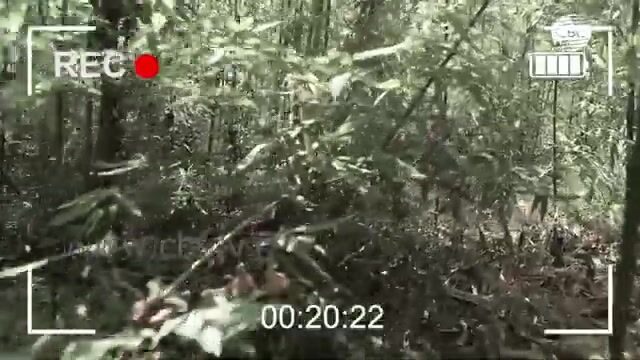 Спортивная рыбалка на озере Ханбулан в Ленкорани: подготовка снастей и прикормки