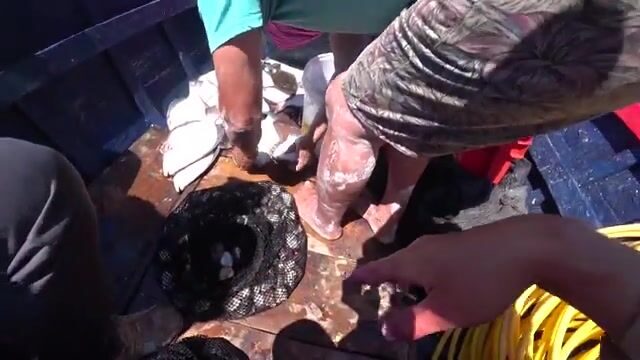 Путешествие вдоль Тихого океана в Чили: пустыня Атакама, водоросли и жизнь рыбацкого поселка