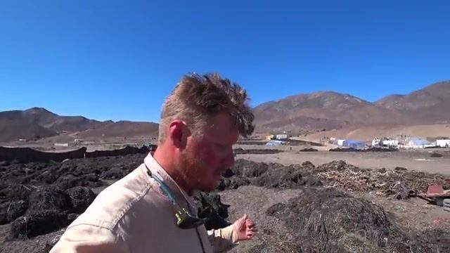Путешествие вдоль Тихого океана в Чили: пустыня Атакама, водоросли и жизнь рыбацкого поселка