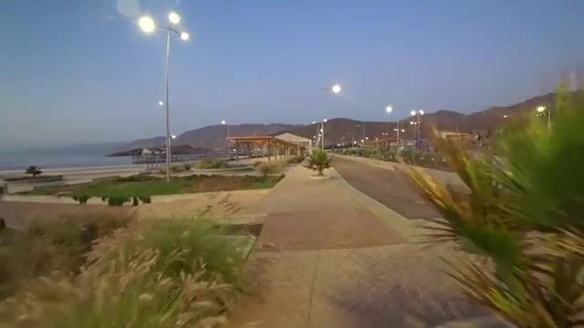 Путешествие вдоль Тихого океана в Чили: пустыня Атакама, водоросли и жизнь рыбацкого поселка