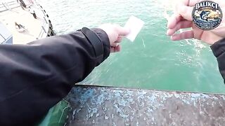 Мартовская ставрида на Галатском мосту в Стамбуле: рыбалка самодуром и улов за два часа