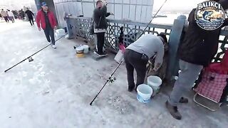 Мартовская ставрида на Галатском мосту в Стамбуле: рыбалка самодуром и улов за два часа