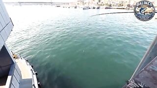 Мартовская ставрида на Галатском мосту в Стамбуле: рыбалка самодуром и улов за два часа