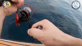 Большая компания на рыбалке из Аль-Рувайса с подъемом морской рыбы и возвращением к вечеру