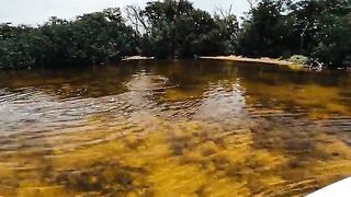 Двое суток в Исламораде во Флориде с поиском снука и тарпона у мангров в ветреную погоду