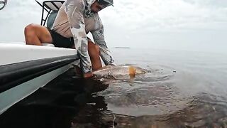 Двое суток в Исламораде во Флориде с поиском снука и тарпона у мангров в ветреную погоду