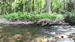За июньским хариусом с ночевкой на таежной реке Приморья и спуском от размытой лесной дороги