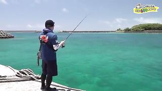 Двухдневная рыболовная поездка на Исигаки: легкие снасти, островные точки и знакомство с рыбой