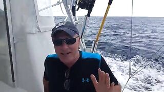 Желтоперые тунцы после выхода с Provo Sand and Sea Tours у Провиденсьялеса на Теркс и Кайкос