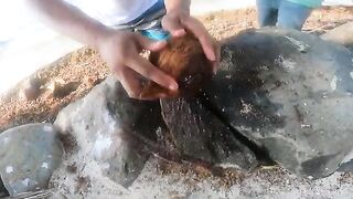 От рифовой рыбалки к крабам во дворе на Таити во время семейной поездки по острову