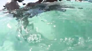 От рифовой рыбалки к крабам во дворе на Таити во время семейной поездки по острову