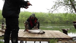 Чавыча весом 16,7 килограмма на Камчатке после поклевки на воблер и долгого восстановления у воды