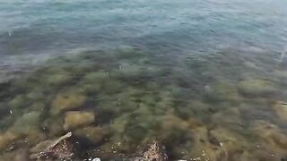 Спиннинг с городского пирса во Владивостоке: майские бычки на легкие приманки в Японском море
