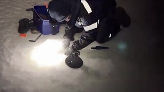 Крупные налимы зимой в Мурманской области: дальняя дорога на мотособаке и борьба у лунки