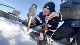 Крупные налимы зимой в Мурманской области: дальняя дорога на мотособаке и борьба у лунки