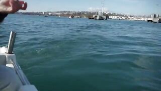 Рыбалка с лодки в Мраморном море у Стамбула: медленный троллинг после утреннего шторма