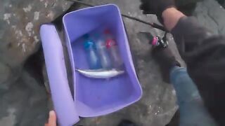 Утренний спиннинг под мостом во Владивостоке: береговая рыбалка на лакедру среди камней