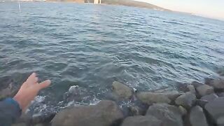 Утренний спиннинг под мостом во Владивостоке: береговая рыбалка на лакедру среди камней