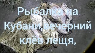 Ноябрьский лещ на Кубани: вечерняя рыбалка с берега и прикормка с чесноком