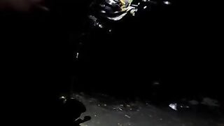 Ноябрьский лещ на Кубани: вечерняя рыбалка с берега и прикормка с чесноком