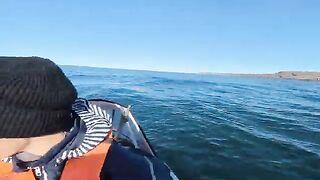 Летняя рыбалка на треску в Териберке и у острова Кильдин: глубина, прилив и ночной клев