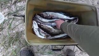 Летняя рыбалка на треску в Териберке и у острова Кильдин: глубина, прилив и ночной клев
