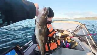 Летняя рыбалка на треску в Териберке и у острова Кильдин: глубина, прилив и ночной клев