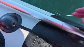 Летняя рыбалка на треску в Териберке и у острова Кильдин: глубина, прилив и ночной клев
