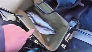 Летняя рыбалка на треску в Териберке и у острова Кильдин: глубина, прилив и ночной клев