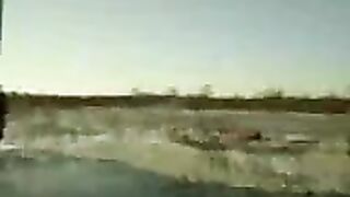 Первая крупная щука на плотвичку со льда в Наркунах в Беларуси и осмотр рыбы без взвешивания