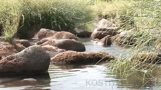 Рыбалка на нильского окуня в Камеруне: речные перекаты, яркие воблеры и зацепы среди камней
