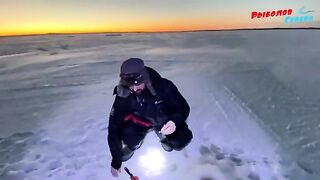 Подледная навага и корюшка в Унской губе с поездкой на снегоходе и возвращением до ухода воды