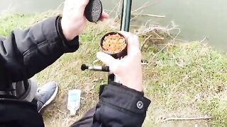 На берегу Марицы в Пловдиве с местными рыбаками и опарышем для ловли на городской реке