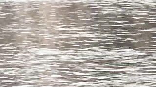На берегу Марицы в Пловдиве с местными рыбаками и опарышем для ловли на городской реке