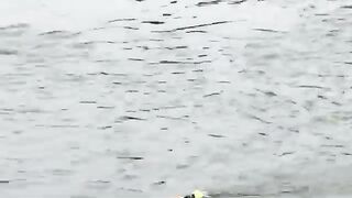 На берегу Марицы в Пловдиве с местными рыбаками и опарышем для ловли на городской реке