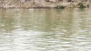 На берегу Марицы в Пловдиве с местными рыбаками и опарышем для ловли на городской реке