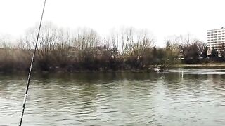 На берегу Марицы в Пловдиве с местными рыбаками и опарышем для ловли на городской реке