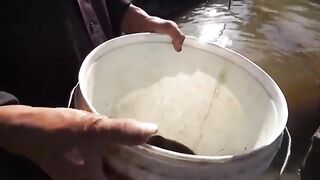За пресноводными угрями в Камбодже с местными рыбаками и простыми снастями для узких проток