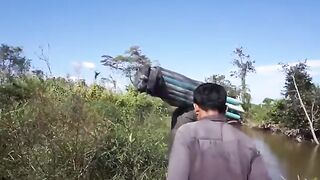 За пресноводными угрями в Камбодже с местными рыбаками и простыми снастями для узких проток